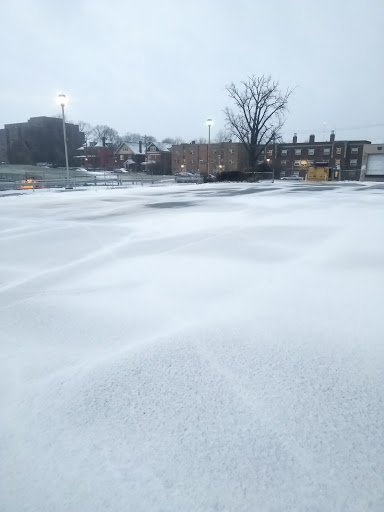 Park «Burnet Woods», reviews and photos, 3251 Brookline Ave, Cincinnati, OH 45220, USA