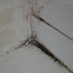 Photo n°3 de l'avis de Quinten. fait le 24/02/2024 à 19:09 sur le  Hotel Mainbogen à Offenbach