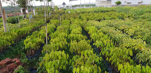 Top 20 cửa hàng online Huyện Phú Riềng Bình Phước 2022