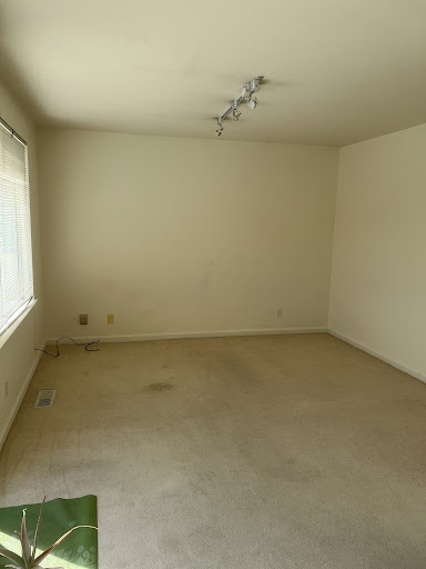 Alexs Carpet Cleaning image