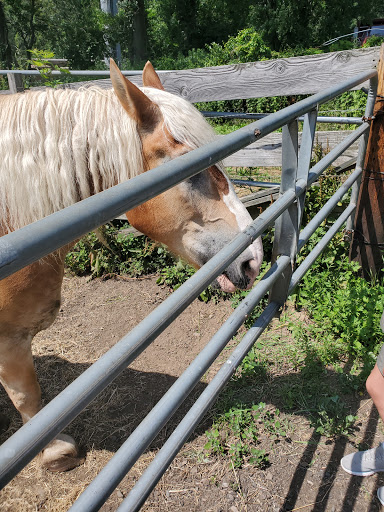 Farm «B & B Flower Farm», reviews and photos, 668 Jones Hill Rd, West Haven, CT 06516, USA