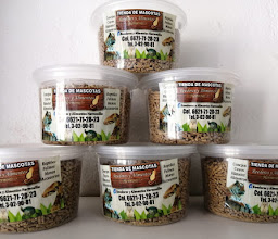 Alimento Para Perros y Gatos photo