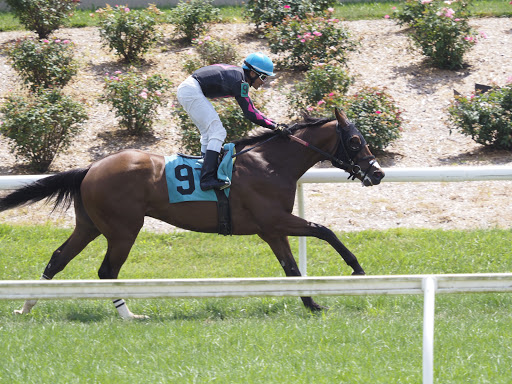 Racecourse «Belterra Park Gaming», reviews and photos, 6301 Kellogg Rd, Cincinnati, OH 45230, USA