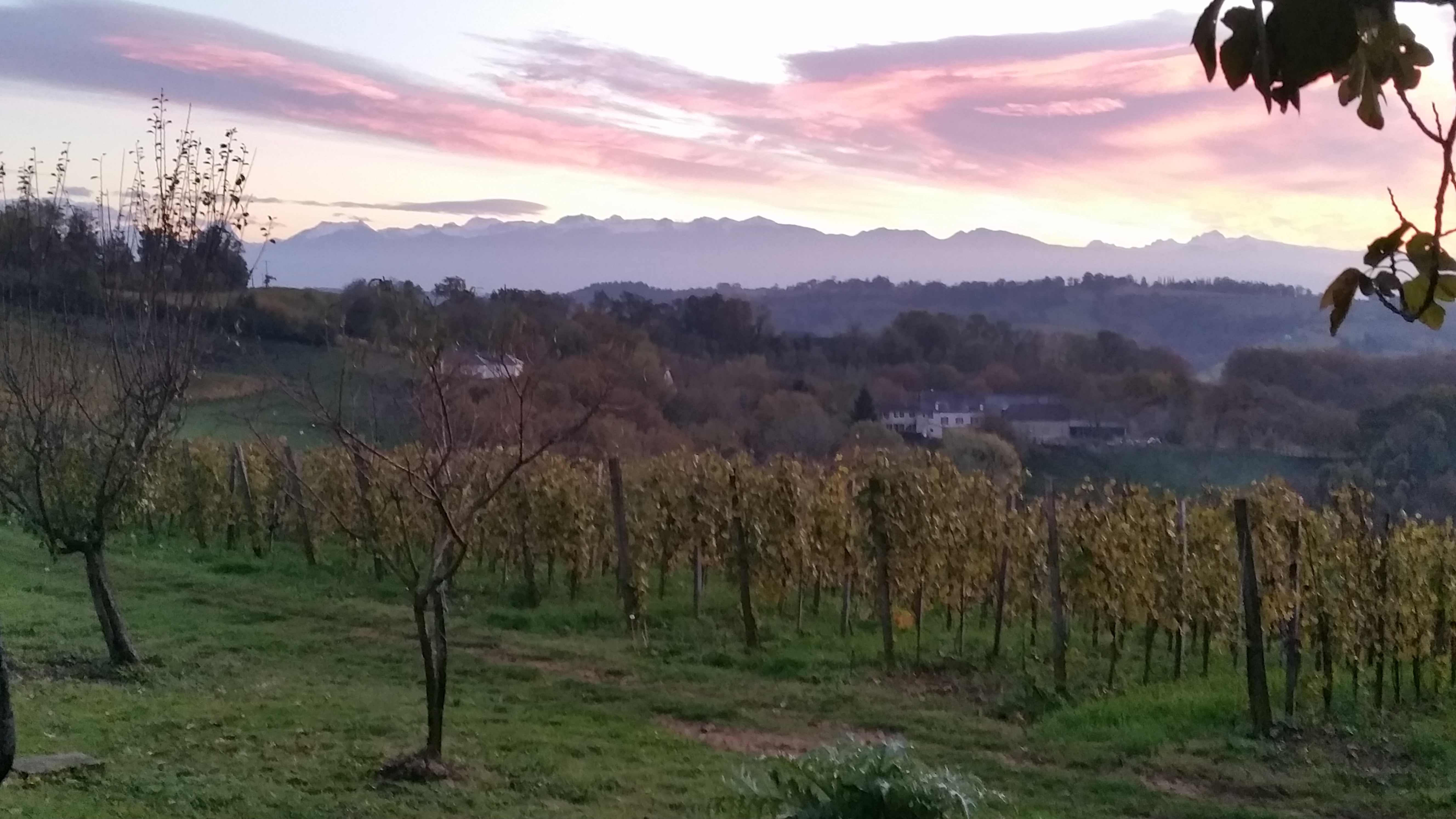 Photo n° 3 de l'avis de Alexandru.I fait le 17/11/2016 à 21:25