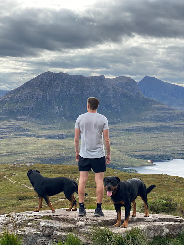 Reviews of The Dog Life in Edinburgh - Dog trainer