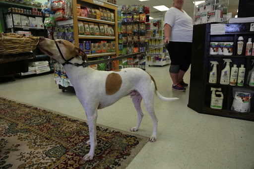 Pet Supply Store «Naturally Healthy Pet», reviews and photos, 1850 Thomasville Rd, Tallahassee, FL 32303, USA