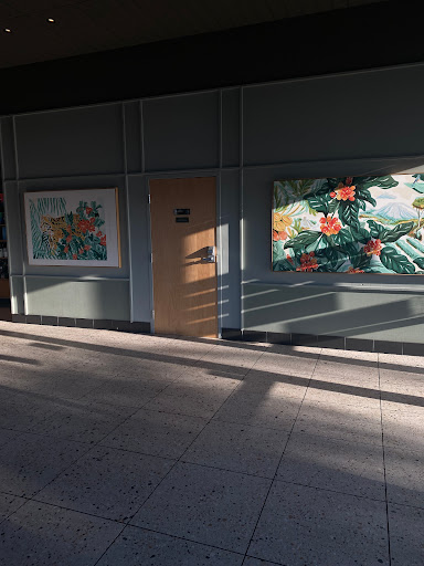 Starbucks image