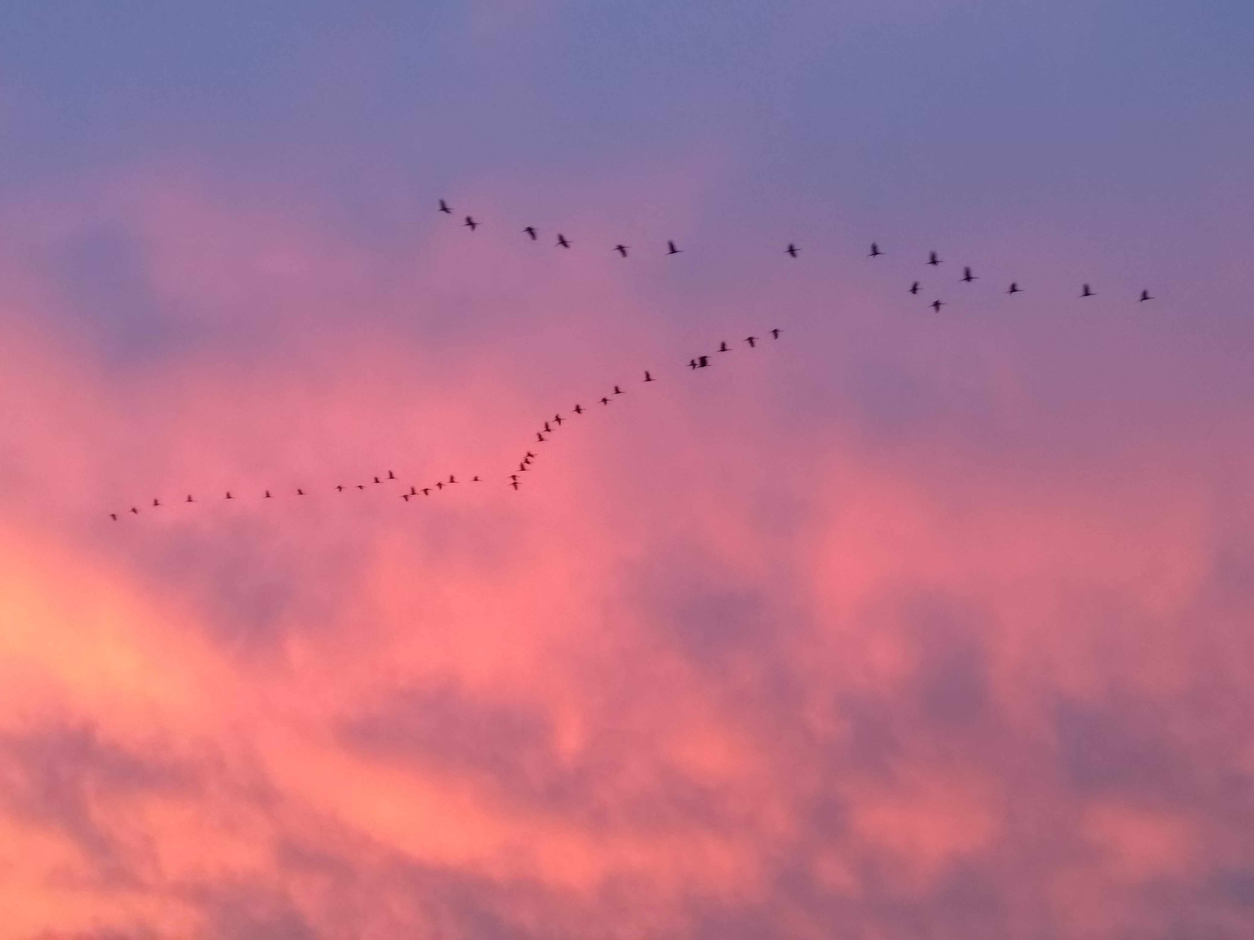 Photo n° 5 de l'avis de Anna.e fait le 17/11/2019 à 18:33