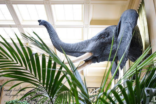 Art Museum «George Eastman Museum», reviews and photos, 900 East Ave, Rochester, NY 14607, USA