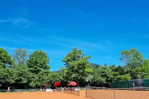 Tennisclub Rot-Weiss Baden-Baden e.V. image
