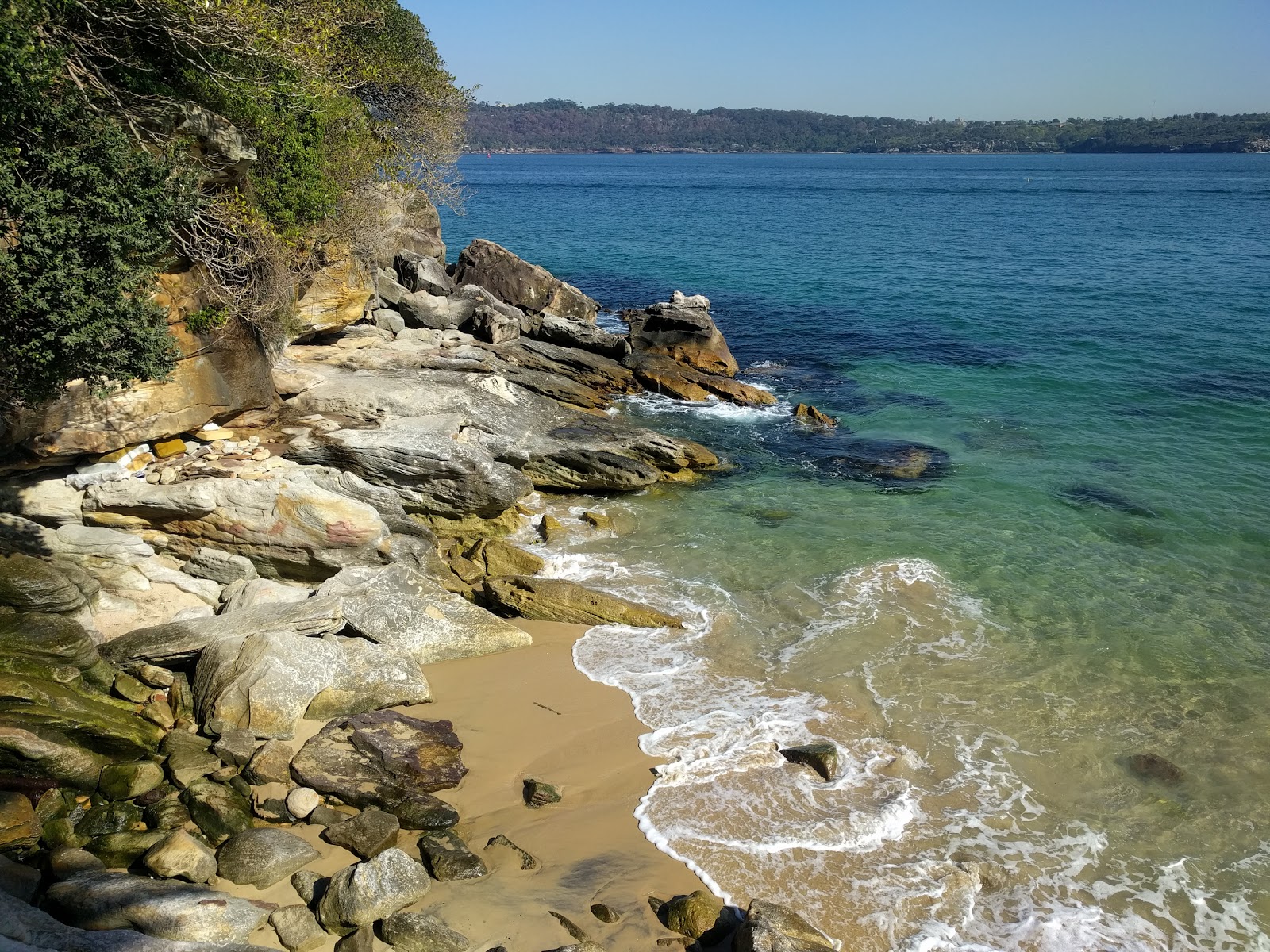 Lady Bay Beach的照片 位于自然区域