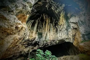 La Cova Negra image