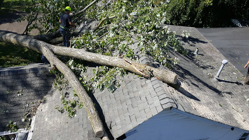 Car Repair and Maintenance «Midas», reviews and photos, 457 Southland Dr, Lexington, KY 40503, USA