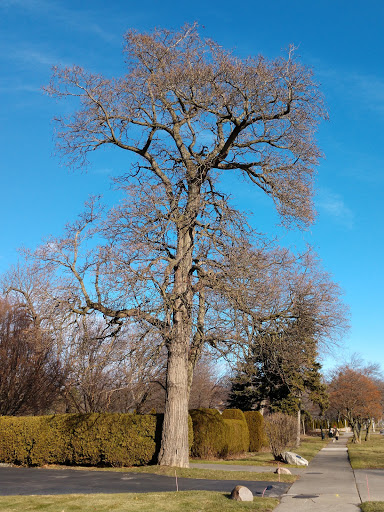 Park «Pier Park», reviews and photos, 350 Lake Shore Rd, Grosse Pointe Farms, MI 48236, USA