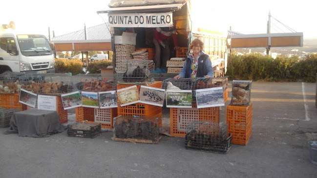 Mercado Municipal