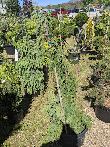 Garden Center «Quality Gardens», reviews and photos, 409 PA-228, Valencia, PA 16059, USA