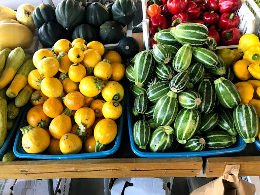 Gourmet Grocery Store «Fruit Center Marketplace», reviews and photos, 10 Bassett St, Milton, MA 02186, USA