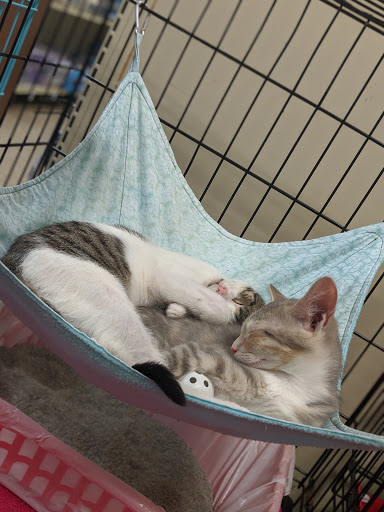 Pet Supply Store «PetSmart», reviews and photos, 2701 GA-54, Peachtree City, GA 30269, USA