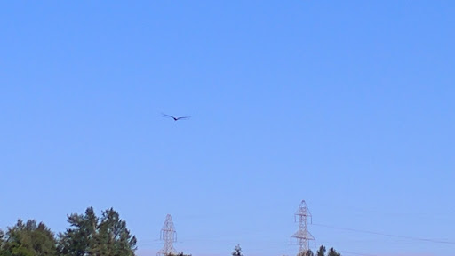 Park «Ferguson Park», reviews and photos, 1330 Ferguson Park Rd, Snohomish, WA 98290, USA