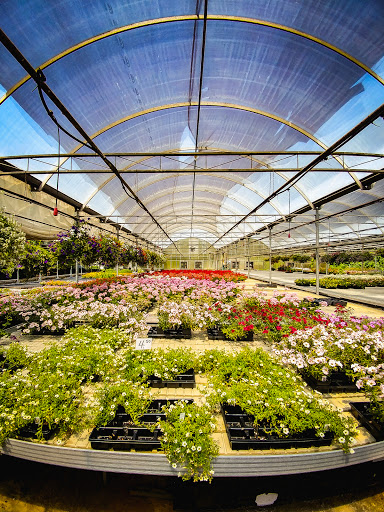 Florist «Sykes the Florist and Greenhouses», reviews and photos, 1300 Lawrence St, Lowell, MA 01852, USA