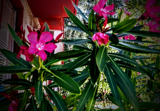 Auto Insurance Agency «John Beck Insurance», reviews and photos