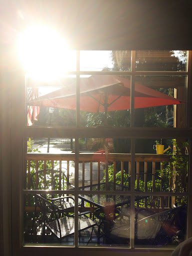 Coffee Shop «Highlander Cafe», reviews and photos, 638 N Citrus Ave, Crystal River, FL 34428, USA