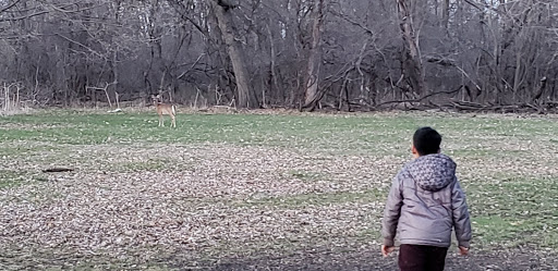 Fruit and Vegetable Store «Berwyn Fruit & Vegetable», reviews and photos, 3811 Harlem Ave, Berwyn, IL 60402, USA