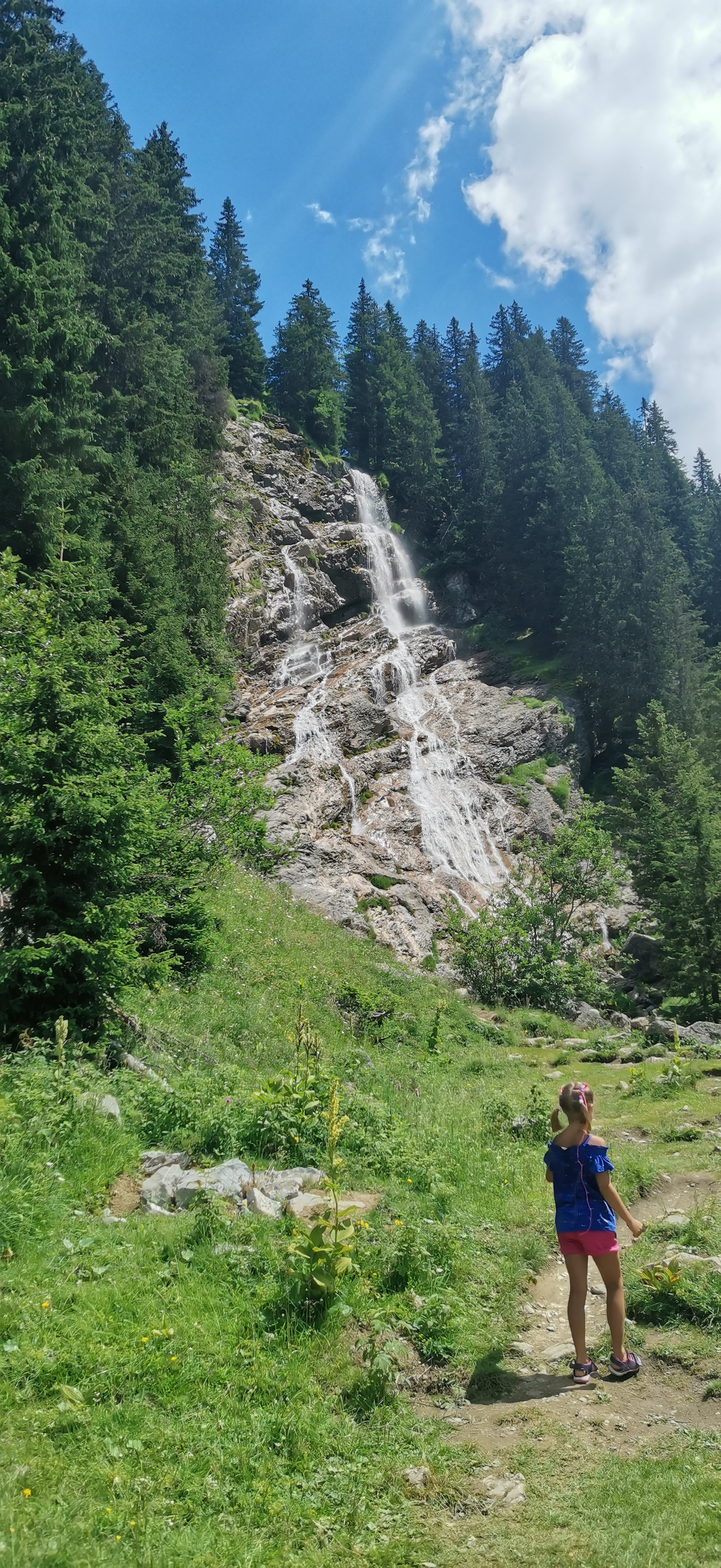 Photo n° 6 de l'avis de Pasha. fait le 07/07/2022 à 17:11