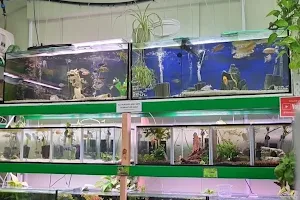 The Aquarium Project image