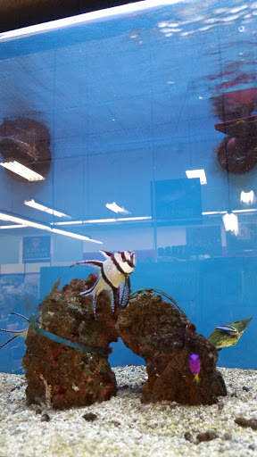 Pet Supply Store «Petco Animal Supplies», reviews and photos, 6805 Mills Civic Pkwy #140, West Des Moines, IA 50266, USA