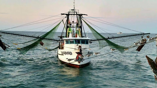 Seafood Market «Seven Seas Seafood Market», reviews and photos, 3476 US-17 BUS, Murrells Inlet, SC 29576, USA