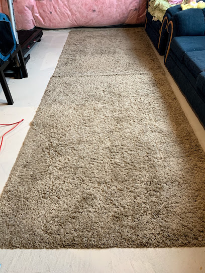 PMT Carpet Cleaning