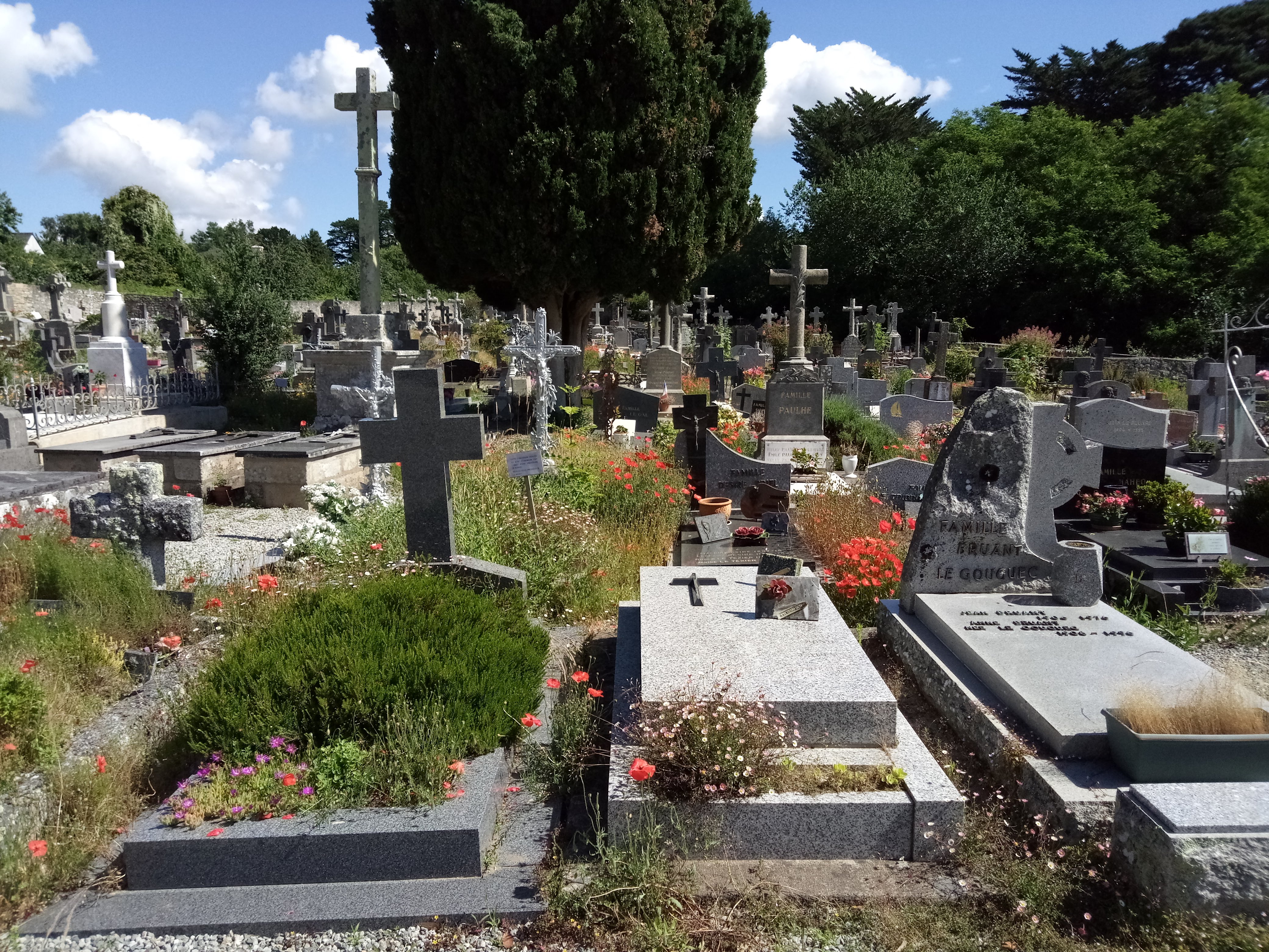 Photo n° 30 de l'avis de Jean.a fait le 21/06/2019 à 18:36