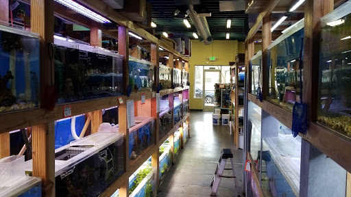 Tropical Fish Store «The Fish Store», reviews and photos, 12320 Lake City Way NE, Seattle, WA 98125, USA