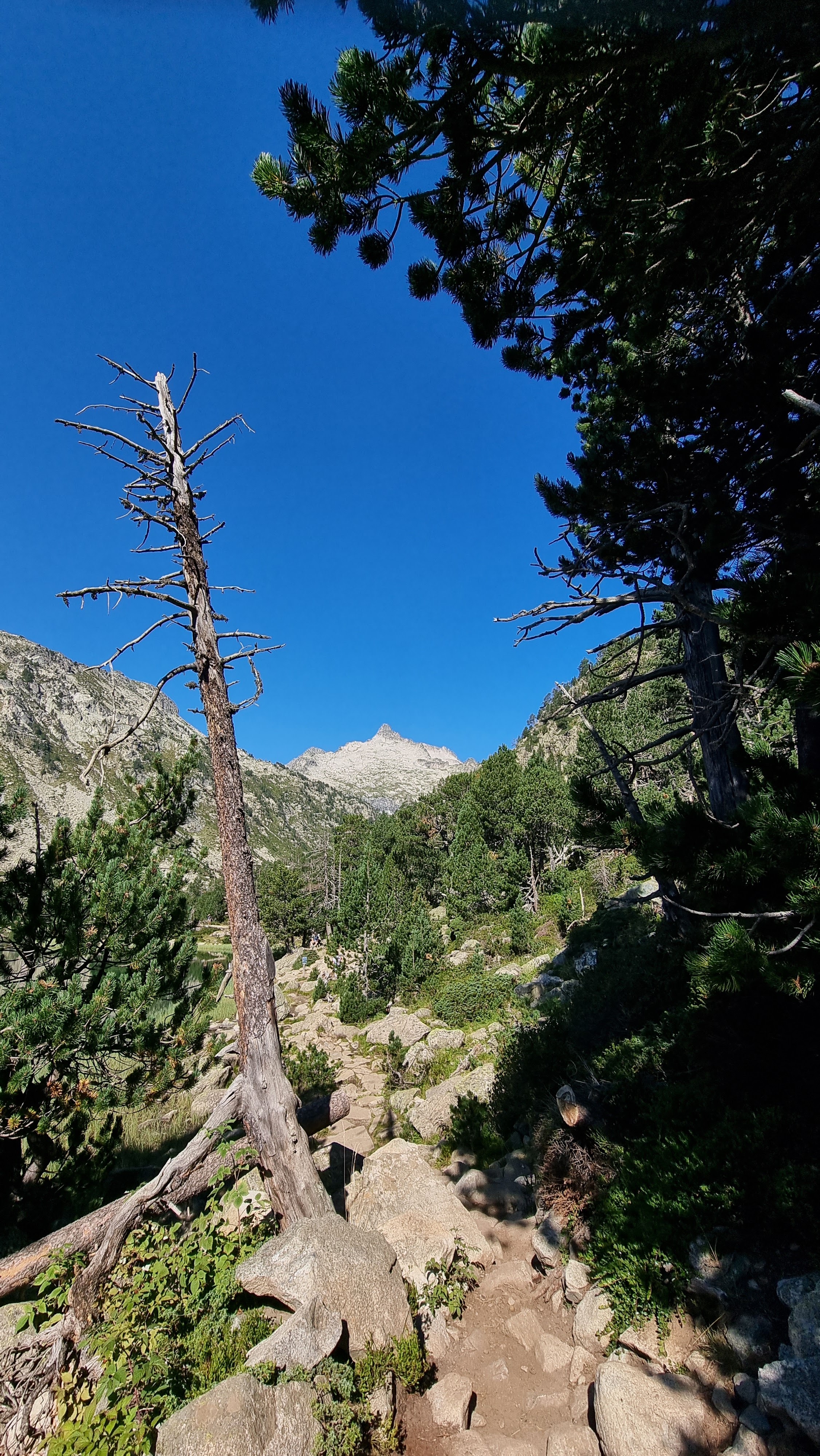 Photo n° 11 de l'avis de Serge.c fait le 12/08/2022 à 16:55