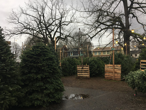 Red Shed Christmas Trees