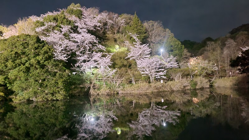 ひき岩群国民休養地