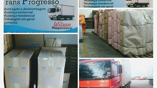 Logo da empresa - Transprogressomudanças