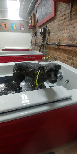 Pet Store «Firehouse Pet Shop & Grooming», reviews and photos, 17 S Wenatchee Ave, Wenatchee, WA 98801, USA