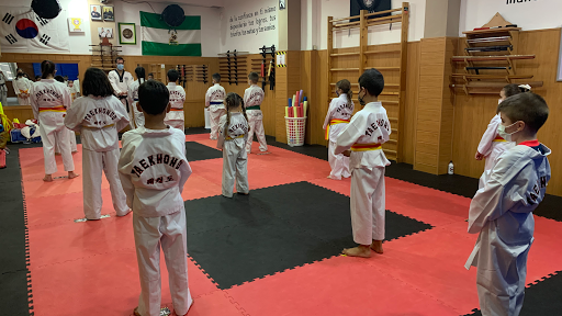 Gimnasios de taekwondo en Sevilla
