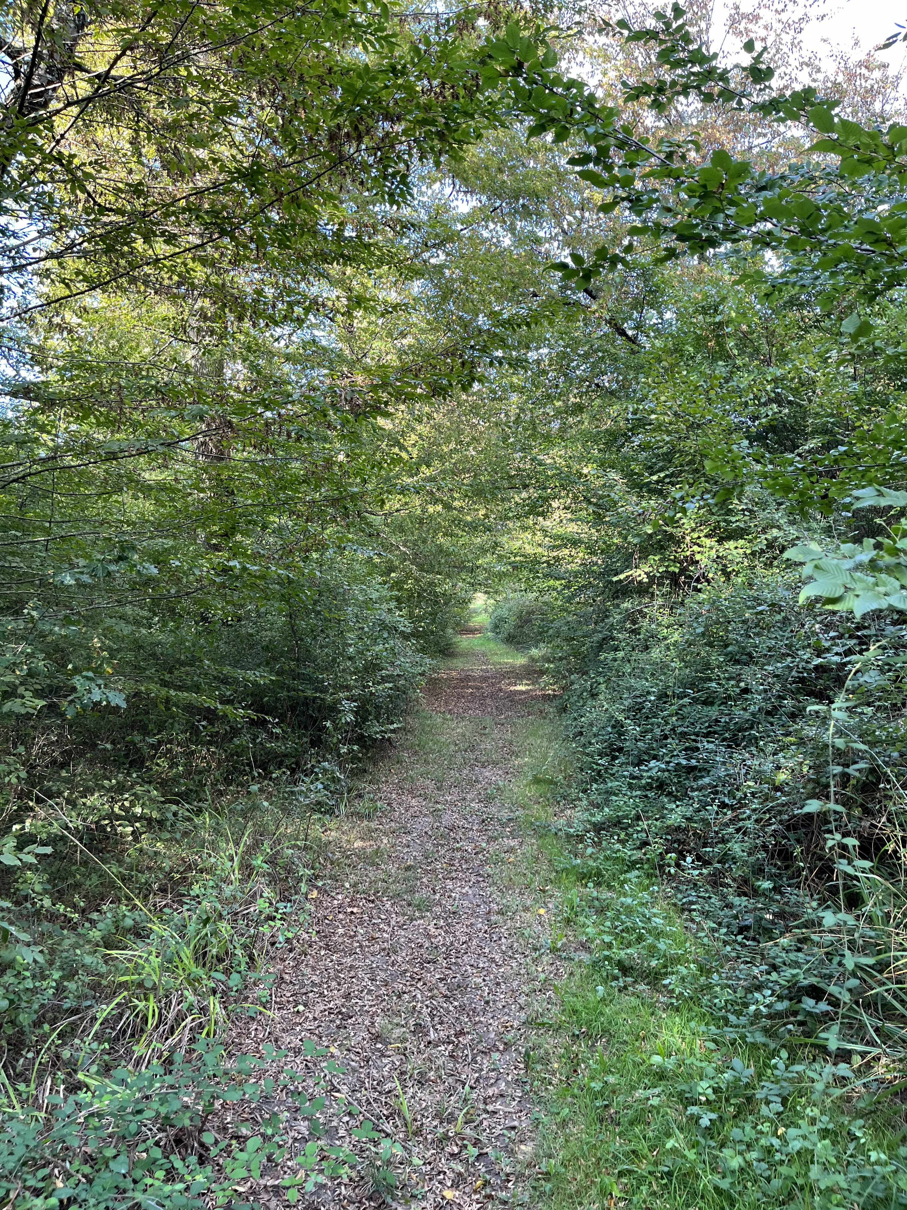 Photo n° 3 de l'avis de A. fait le 21/09/2023 à 07:57