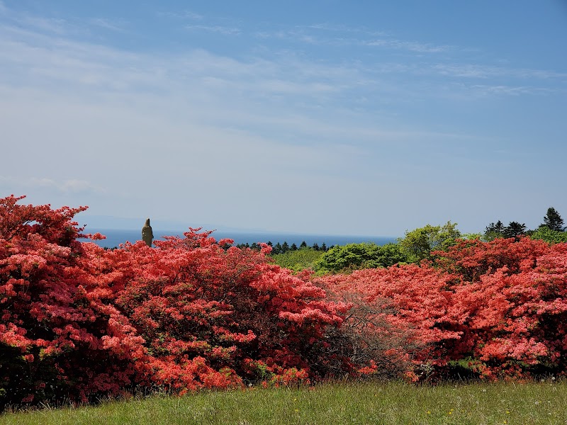 恵山つつじ公園