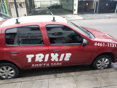 Autoescuela Trixie