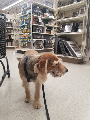 Craft Store «Michaels», reviews and photos, 12425 SW 88th St, Miami, FL 33186, USA