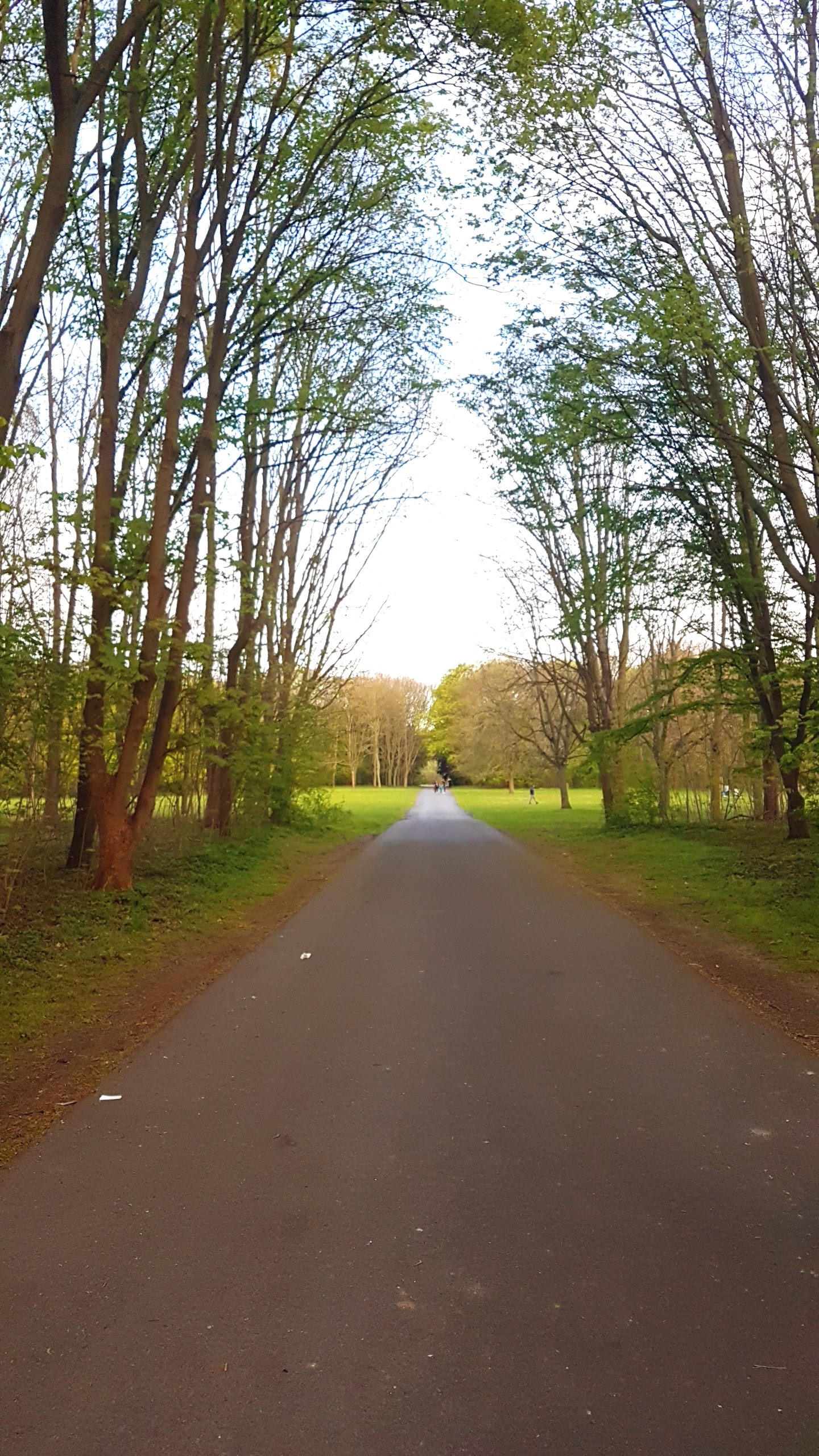 Photo n° 2 de l'avis de Réda.h fait le 07/04/2019 à 22:12