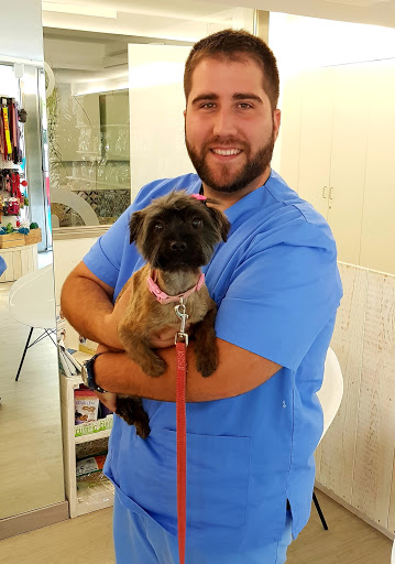 Anoia Veterinaria Piera en Piera