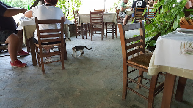 Σχόλια και κριτικές για το ΚΑΡΥΔΙΕΣ ΤΑΒΕΡΝΑ