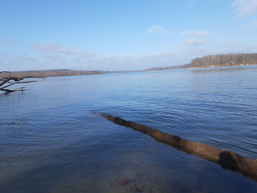 Tourist Attraction «West Branch State Park Beach», reviews and photos, Esworthy Rd, Ravenna, OH 44266, USA