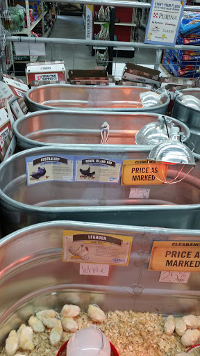 Home Improvement Store «Tractor Supply Co.», reviews and photos, 271 Suedberg Rd, Pine Grove, PA 17963, USA