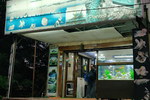 Luxury Aquariums image